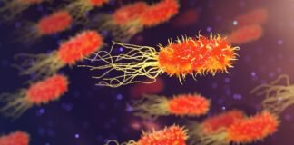 بعد الإجابة النهائية: أسباب خطورة kidney disease على صحة القلب بعد الإجابة النهائية: أسباب خطورة kidney disease على صحة القلب