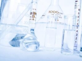 Imported Article – 2026-03-16 18:11:11