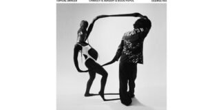 تحليل Topical Dancer: ديناميكية الأداء بين اللعب والسياسة في الهندسة التعليمية
