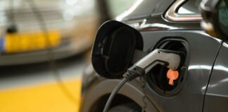 Imported Article – 2026-03-13 09:33:06