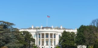 ترامب يستدعي عمالقة التقنية للبيت الأبيض للاتفاق على خطة حماية دفع الكهرباء لمراكز البيانات
