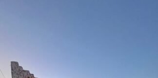 بار Valentine Texas في Valentine بتكساس يستقطب الزوار المحليين والدوليين بار Valentine Texas في Valentine بتكساس يستقطب الزوار المحليين والدوليين