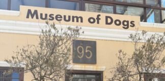 افتتاح متحف The Museum of Dogs في كيب تاون بجنوب أفريقيا
