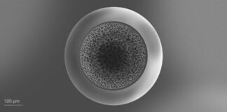 Nanoscribe تحصل على طلبات عدة لأنظمة Quantum X لتصنيع أهداف انصهار اندفاعي
