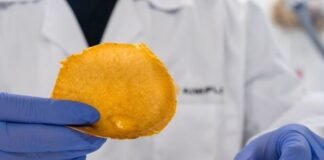 AIMPLAS تقود مشروع VEGANCELIO لتحويل النفايات العضوية إلى جلد فيغان وميكروكابسولات تجميلية بتقنيات ميكانيكية متقدمة
