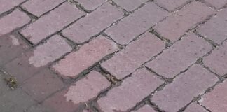 Imported Article – 2026-04-19 01:17:45