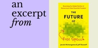 الديمقراطية المقاتلة أم التسلل اللاحرّي؟ معضلة حرية التعبير في ألمانيا
