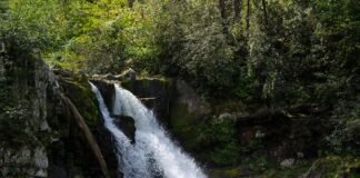 تصميم Polène Flagship Store بواسطة NORM Architects: دراسة هندسية ومعمارية متخصصة
