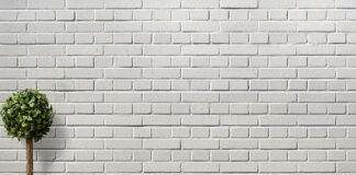 وثائقي "Artisans of the Reiwa Era" يعرض تقنيات البناء الخشبي الياباني التقليدي والحرفية الهندسية
