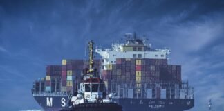 عالم مفقود تحت بحر الشمال كان مليئًا بالغابات ذات يوم
