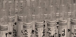 Imported Article – 2026-04-02 07:09:33