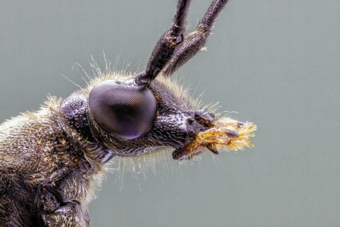 اكتشاف مناطق 