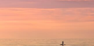 العالم يزداد إشراقًا ليلاً بينما مناطق محددة تشهد ظلامًا متزايدًا العالم يزداد إشراقًا ليلاً بينما مناطق محددة تشهد ظلامًا متزايدًا