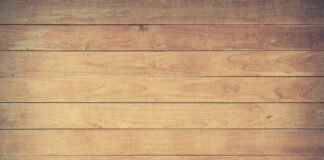 تحليل تصميم Shell Book Pavilion بواسطة LUO studio: دراسة هندسية ومعمارية متخصصة
