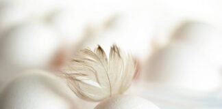 علماء يحذرون: مؤشر BMI غير دقيق لأكثر من ثلث البالغين علماء يحذرون: مؤشر BMI غير دقيق لأكثر من ثلث البالغين