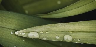 علماء يؤكدون أن عادة بسيطة قد تساهم في زيادة فقدان الوزن
