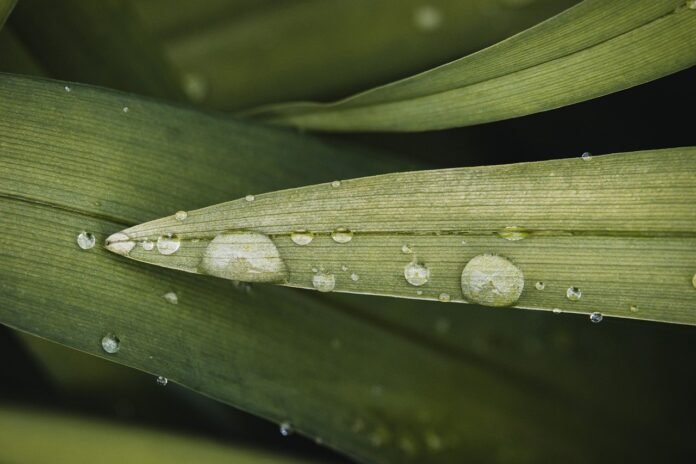 علماء يؤكدون أن عادة بسيطة قد تساهم في زيادة فقدان الوزن
