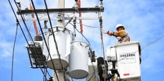 From Page to Screen: The Story of a Lineworker's Heroic Tale
