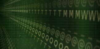 عظام نرد أثرية تكشف تاريخ المقامرة في أمريكا منذ 12,000 عام
