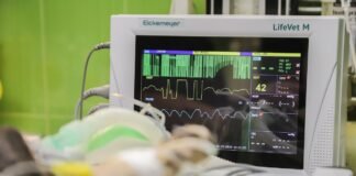 مكون من Viagra يحقق تقدمًا ملحوظًا في دراسة مرض طفلي قاتل مكون من Viagra يحقق تقدمًا ملحوظًا في دراسة مرض طفلي قاتل