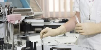 علماء يكتشفون أن بكتيريا الأمعاء تضخ Proteins تتحكم بالجهاز المناعي
